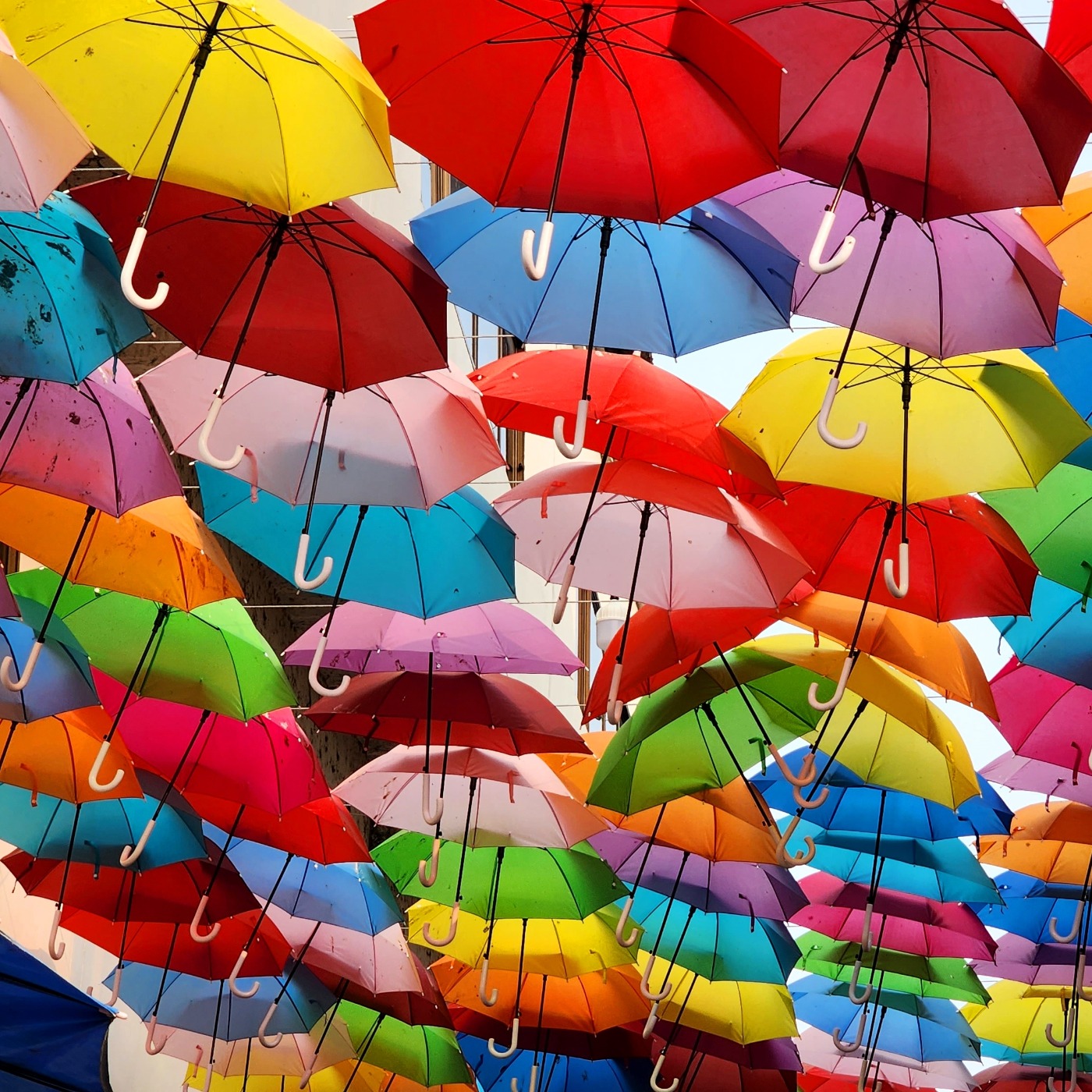 Singing in the Rain Laan